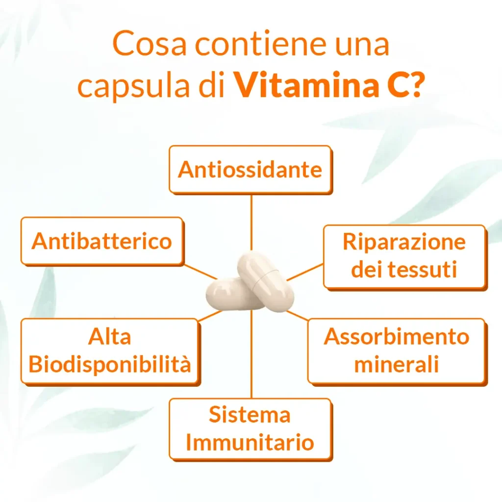Vitamina Lipo C+ - immagine 3