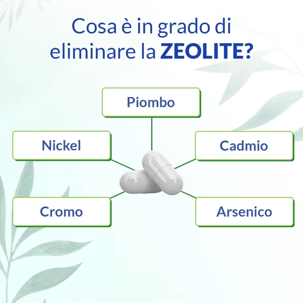 Zeolite PMA Basic Detox - 200 capsule - immagine 4