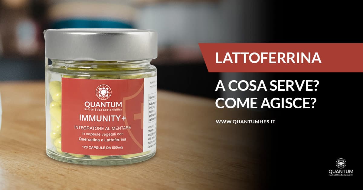 Banner - Immunity lattoferrina