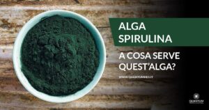 Banner - Spirulina - A cosa serve 2