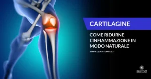 Banner - Cartilagine