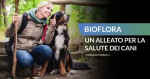 Banner - Salute Cani