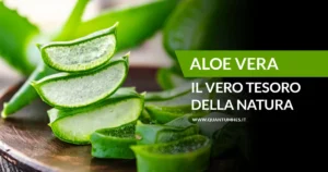 Banner - ALOE VERA