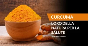 Banner - CURCUMA