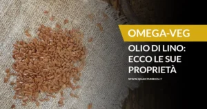 Banner - Omega proprietà olio di lino