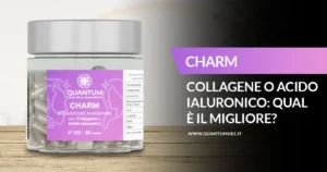 Banner - charm qual è migliore