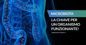 Banner---Microbiota